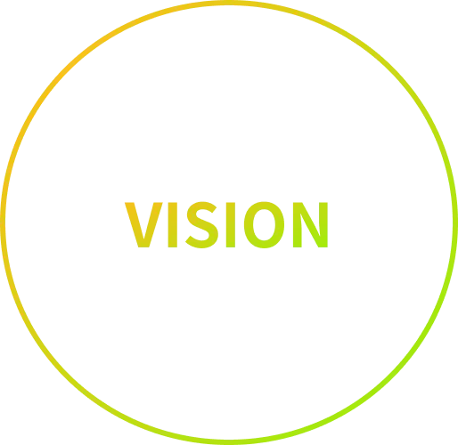 vision